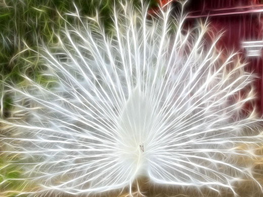 299643 (a): :1600x1200